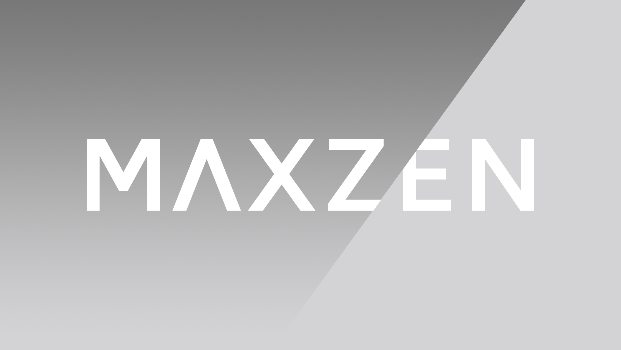 MAXZEN　ブランドロゴ開発・VIデザイン開発